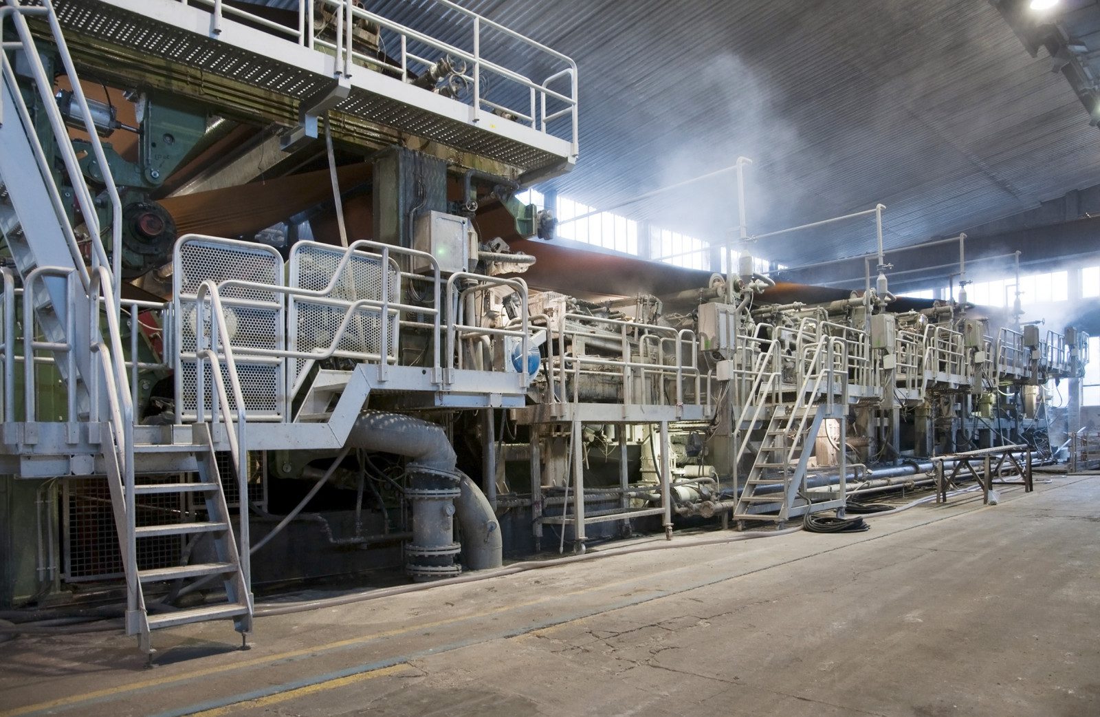 Paper&Pulp subfoto 1